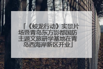 《蛟龙行动》实景片场暨青岛东方影都国防主题文旅研学基地在青岛西海岸新区开业