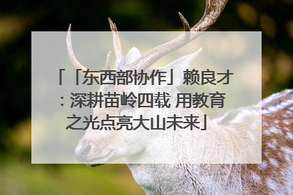 「东西部协作」赖良才：深耕苗岭四载 用教育之光点亮大山未来