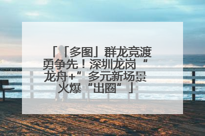 「多图」群龙竞渡勇争先！深圳龙岗“龙舟+”多元新场景火爆“出圈”