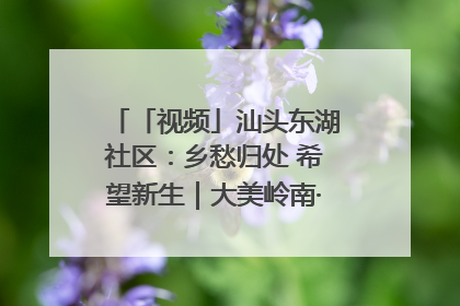 「视频」汕头东湖社区：乡愁归处 希望新生｜大美岭南·百村焕新记