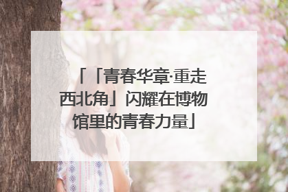 「青春华章·重走西北角」闪耀在博物馆里的青春力量