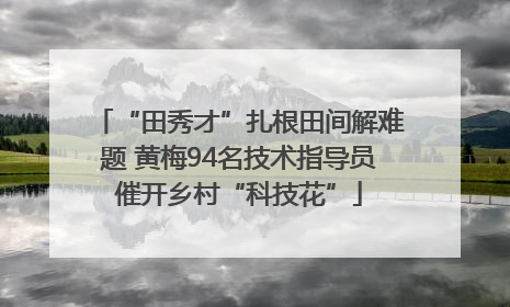 “田秀才”扎根田间解难题 黄梅94名技术指导员催开乡村“科技花”