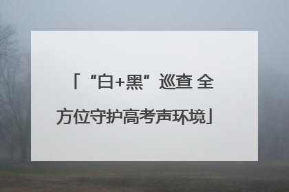 “白+黑”巡查 全方位守护高考声环境