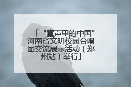 “童声里的中国”河南省文明校园合唱团交流展示活动（郑州站）举行