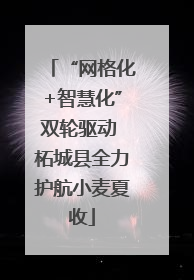 “网格化+智慧化”双轮驱动 柘城县全力护航小麦夏收