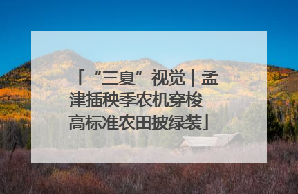 “三夏”视觉｜孟津插秧季农机穿梭 高标准农田披绿装