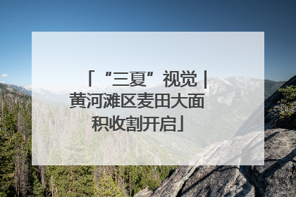 “三夏”视觉｜黄河滩区麦田大面积收割开启