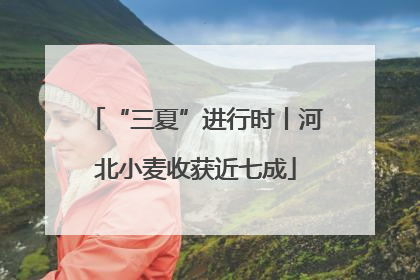 “三夏”进行时丨河北小麦收获近七成