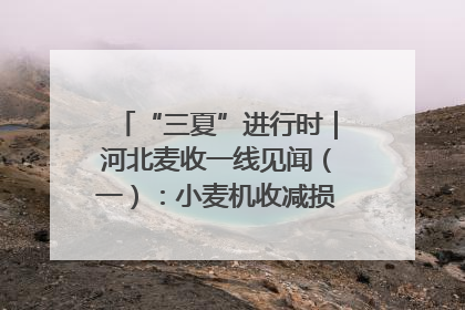 “三夏”进行时｜河北麦收一线见闻（一）：小麦机收减损“竞技” 农机高手麦田“过招”