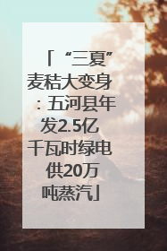 “三夏”麦秸大变身：五河县年发2.5亿千瓦时绿电 供20万吨蒸汽