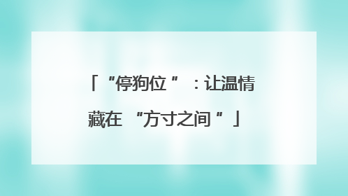 “停狗位 ”：让温情藏在 “方寸之间 ”