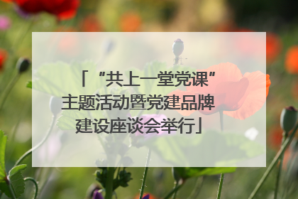 “共上一堂党课”主题活动暨党建品牌建设座谈会举行