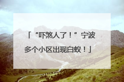 “吓煞人了！”宁波多个小区出现白蚁！