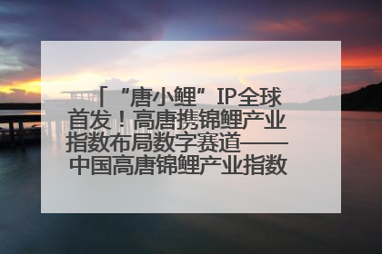 “唐小鲤”IP全球首发！高唐携锦鲤产业指数布局数字赛道——中国高唐锦鲤产业指数暨“唐小鲤”IP全球首发仪式在杭州举行