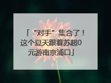 “对手”集合了！这个夏天跟着苏超0元游南京浦口