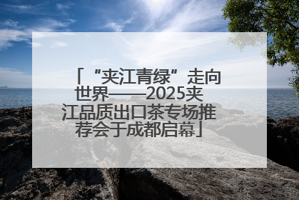 “夹江青绿”走向世界——2025夹江品质出口茶专场推荐会于成都启幕