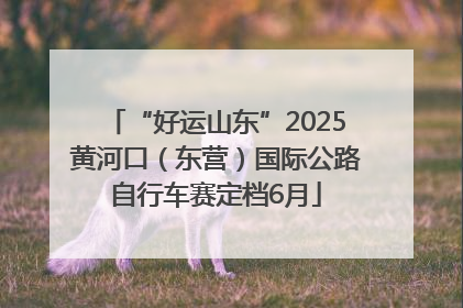 “好运山东”2025黄河口（东营）国际公路自行车赛定档6月