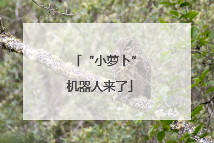 “小萝卜”机器人来了