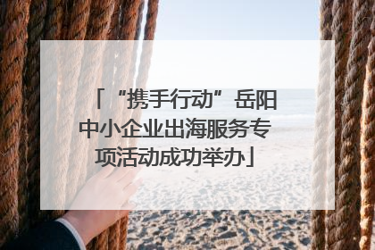 “携手行动”岳阳中小企业出海服务专项活动成功举办
