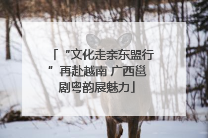 “文化走亲东盟行”再赴越南 广西邕剧粤韵展魅力