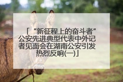 “新征程上的奋斗者”公安先进典型代表中外记者见面会在湖南公安引发热烈反响(一)