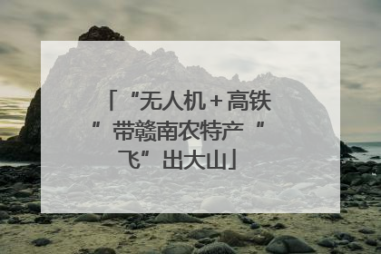 “无人机＋高铁”带赣南农特产“飞”出大山