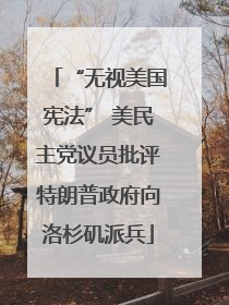 “无视美国宪法” 美民主党议员批评特朗普政府向洛杉矶派兵