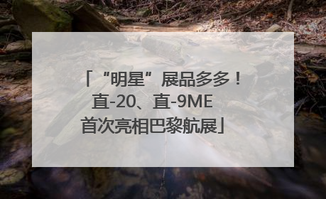 “明星”展品多多！直-20、直-9ME首次亮相巴黎航展