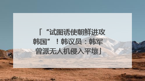 “试图诱使朝鲜进攻韩国”！韩议员：韩军曾派无人机侵入平壤