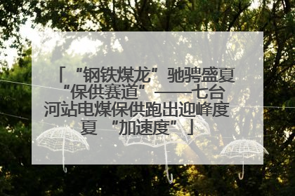“钢铁煤龙”驰骋盛夏 “保供赛道”——七台河站电煤保供跑出迎峰度夏 “加速度”