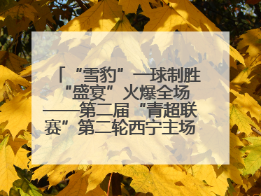 “雪豹”一球制胜 “盛宴”火爆全场——第二届“青超联赛”第二轮西宁主场比赛见闻