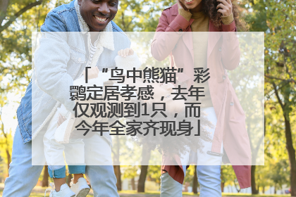 “鸟中熊猫”彩鹮定居孝感，去年仅观测到1只，而今年全家齐现身