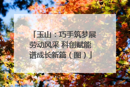 玉山：巧手筑梦展劳动风采 科创赋能谱成长新篇（图）