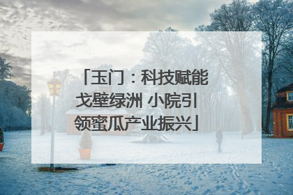 玉门：科技赋能戈壁绿洲 小院引领蜜瓜产业振兴