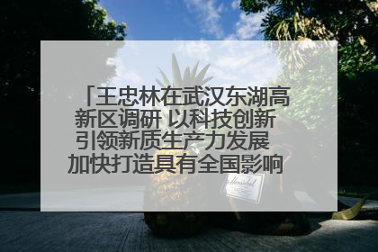 王忠林在武汉东湖高新区调研 以科技创新引领新质生产力发展 加快打造具有全国影响力的科技创新高地