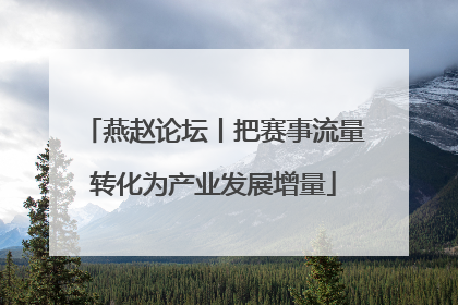 燕赵论坛丨把赛事流量转化为产业发展增量