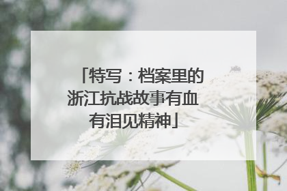 特写：档案里的浙江抗战故事有血有泪见精神