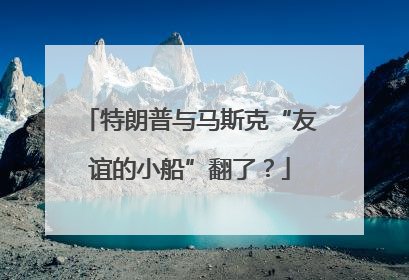 特朗普与马斯克“友谊的小船”翻了？