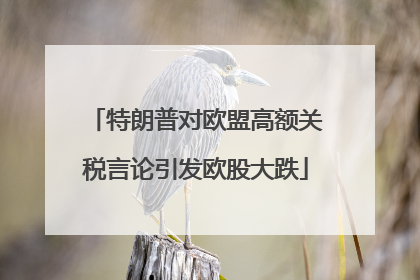 特朗普对欧盟高额关税言论引发欧股大跌