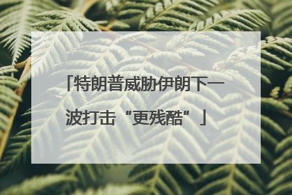 特朗普威胁伊朗下一波打击“更残酷”