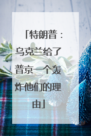特朗普：乌克兰给了普京一个轰炸他们的理由