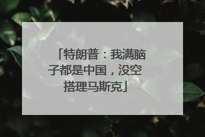 特朗普：我满脑子都是中国，没空搭理马斯克
