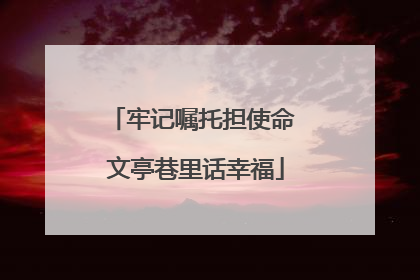牢记嘱托担使命 文亭巷里话幸福