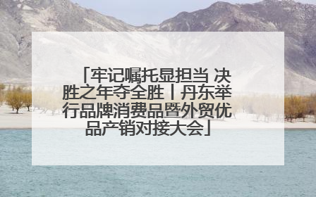 牢记嘱托显担当 决胜之年夺全胜丨丹东举行品牌消费品暨外贸优品产销对接大会