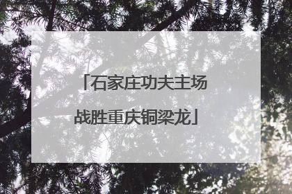 石家庄功夫主场战胜重庆铜梁龙