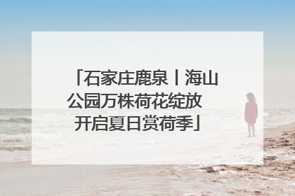石家庄鹿泉丨海山公园万株荷花绽放 开启夏日赏荷季