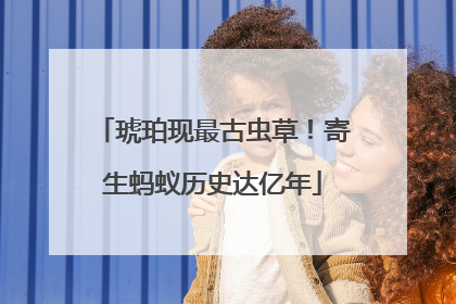 琥珀现最古虫草！寄生蚂蚁历史达亿年