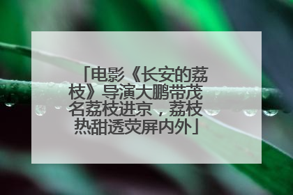 电影《长安的荔枝》导演大鹏带茂名荔枝进京，荔枝热甜透荧屏内外