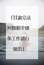 甘肃立法对数据全链条工作进行规范