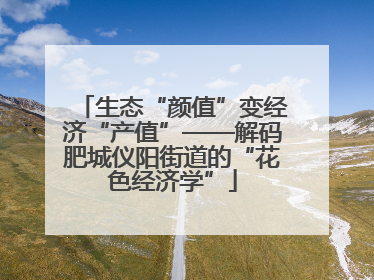 生态“颜值”变经济“产值”——解码肥城仪阳街道的“花色经济学”